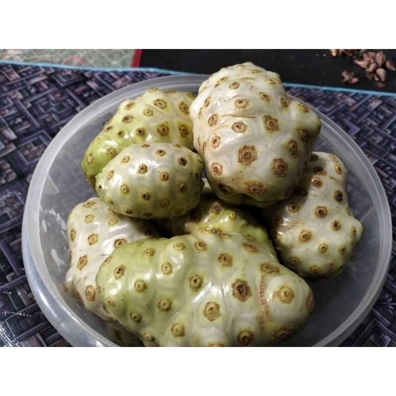 

buah mengkudu ¼kg