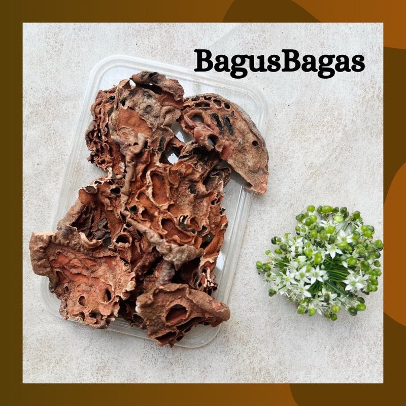 

Sarang Semut 100g Bagus Bagas Herbal Tradisional Alami Sakit Gigi Kolesterol Kolestrol Kadar Gula