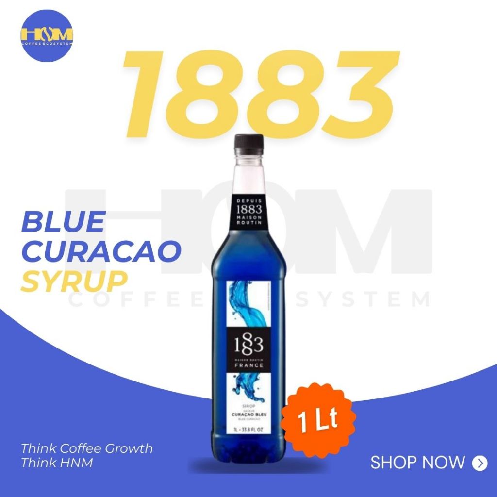 

Sirup Curcao Blue Maison Routin 1883 1 liter