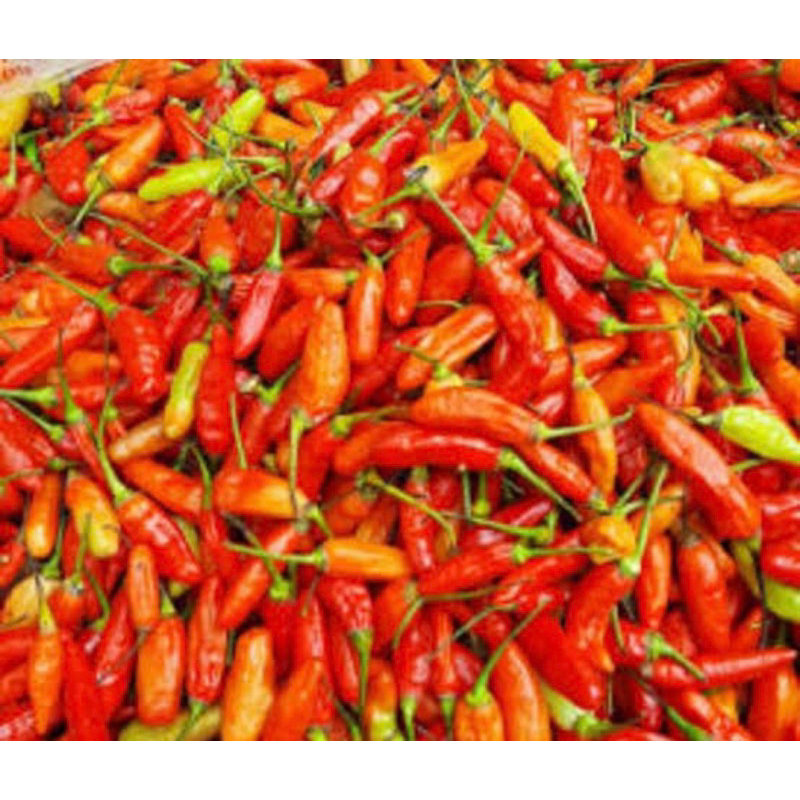 

cabai merah ori 500gr petani langsung
