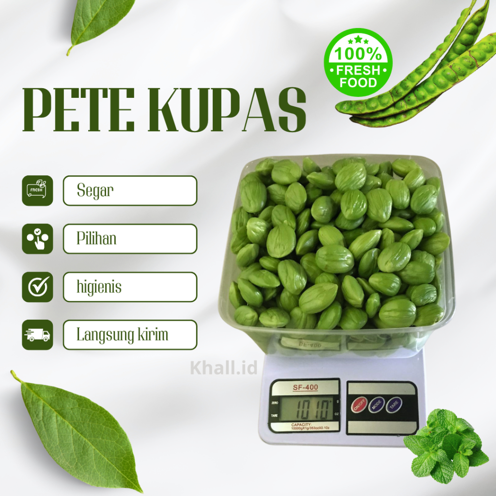 

Pete Kupas Premium Fresh Full Sortir Murah Meriah 1 kg Petai Kupasan Wonogiri