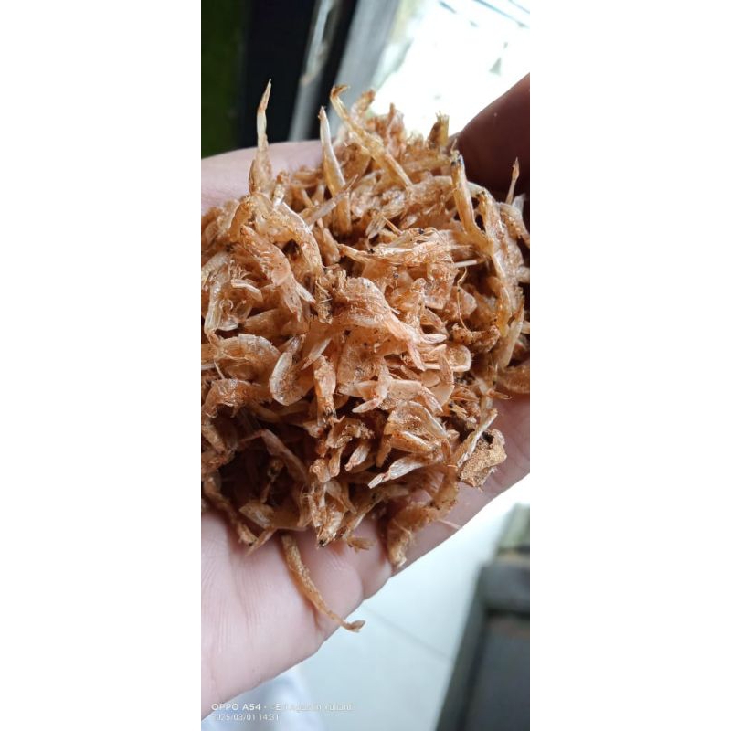 

Ebi kering/udang kering