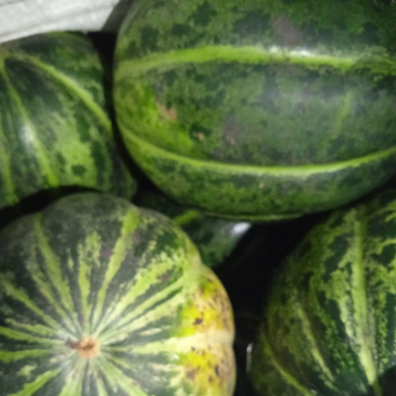 

buah blewah 1 kg