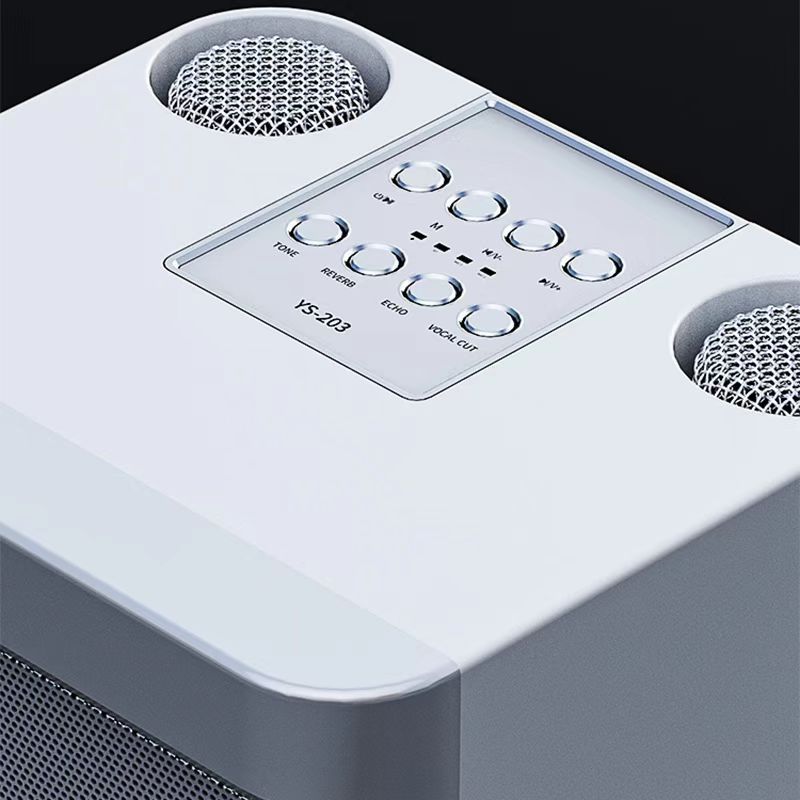 bestpromo speaker bluetooth karaoke 2 mic wireless outdoor party ktv ys-203 voice karaoke speaker