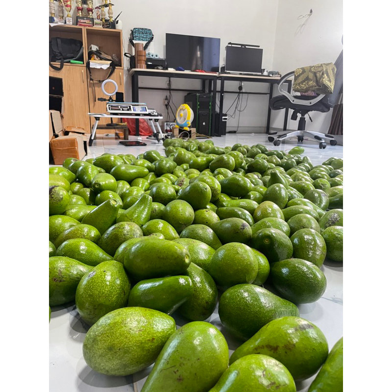 

HEMAT 2Kg isi 6-7 buah