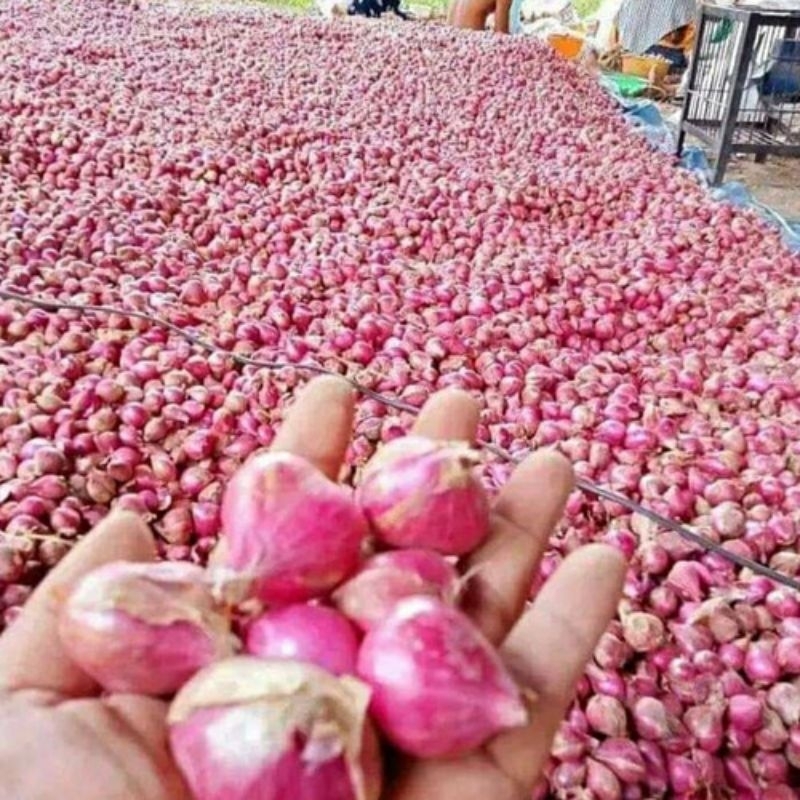 

Bawang merah brebes super 1kg