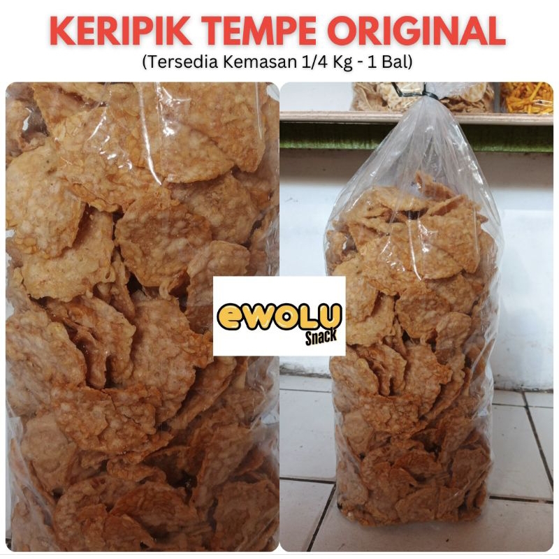 

KERIPIK TEMPE TEPUNG ORIGINAL ASIN