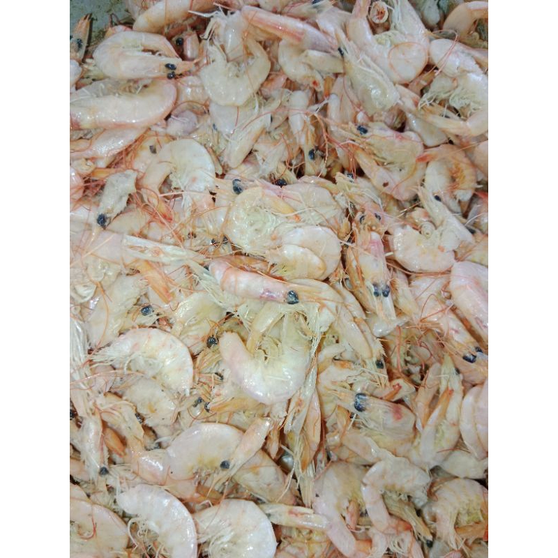 

Udang manis 250gram