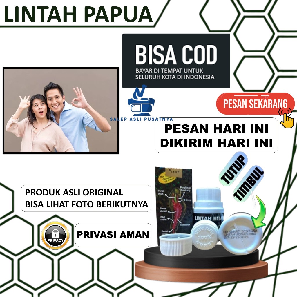 Lintah Hitam Papua Asli Original