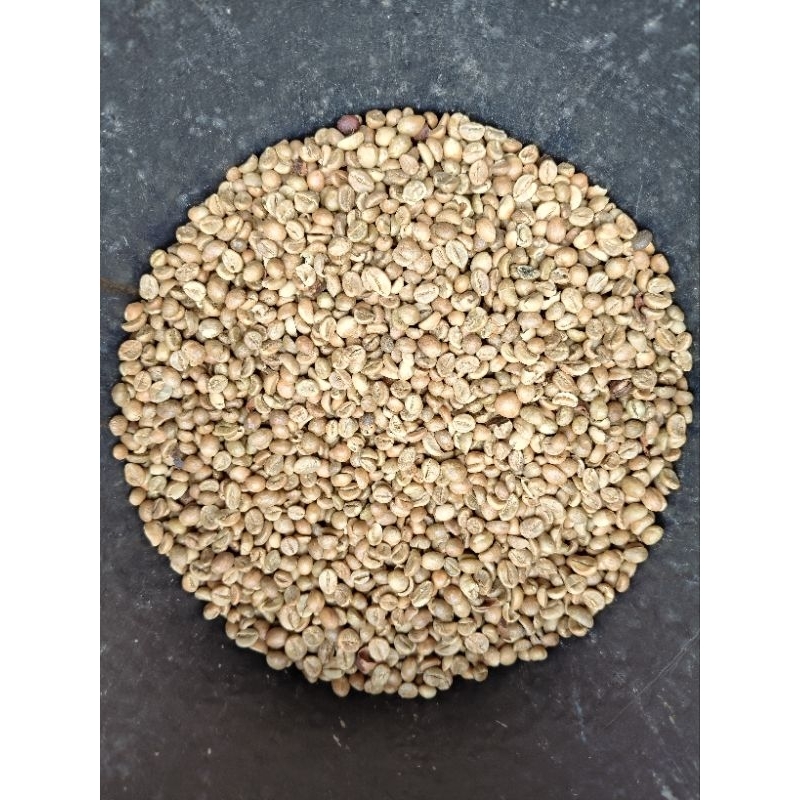 

Kopi Biji Green Bean Robusta Nawangan Pacitan