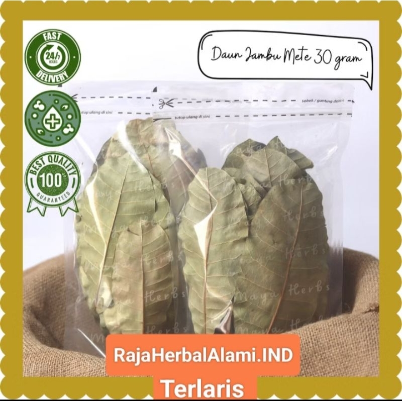 

Daun Mete Kering – Herbal Alami untuk Kesehatan & Obat Tradisional