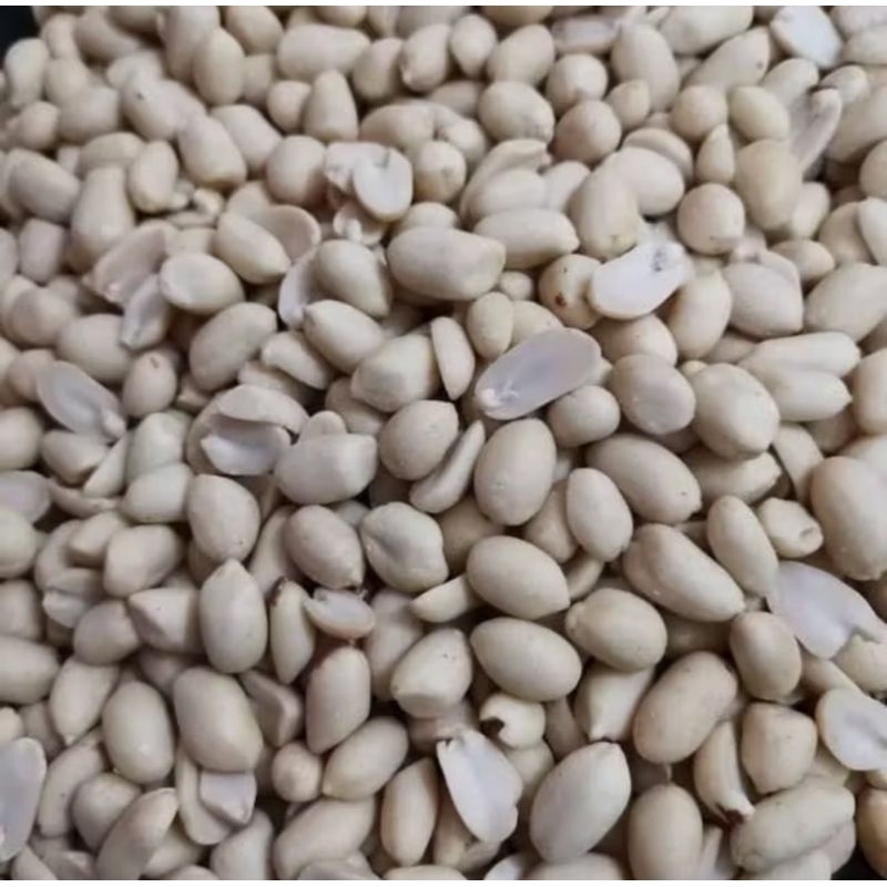 

Kancang Tanah Kupas Mentah Ukuran Sedang/Besar kemasan 1kg