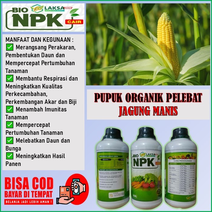 Pupuk NPK Laksa Grow Penyubur Tanaman Jagung Manis - NPK Laksa Grow Mempercepat Pertumbuhan Jagung &