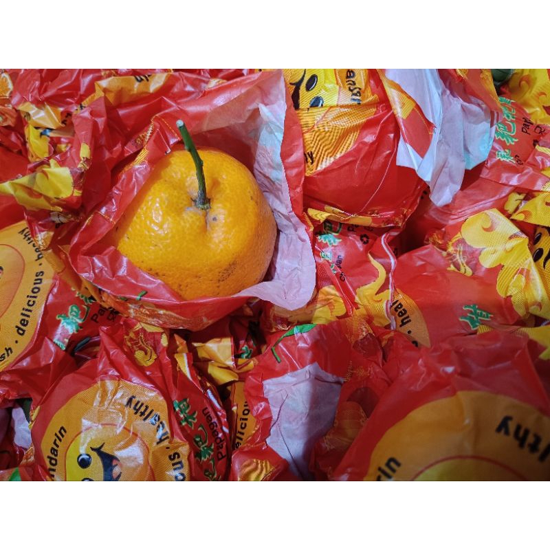 

Buah Jeruk Papagan