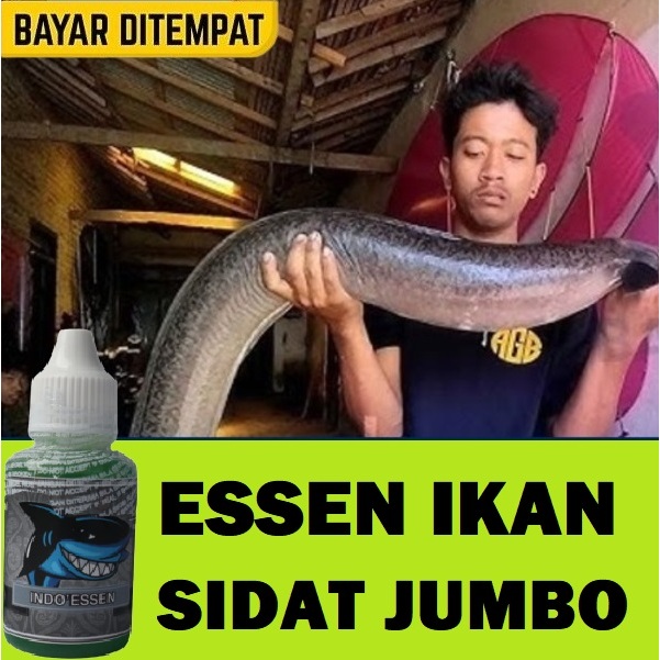 ESSEN IKAN SIDAT JUMBO PALING AMPUH ISI 30ML