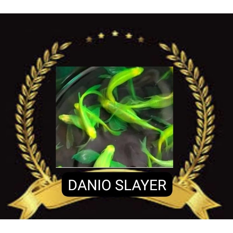 

STIKER UNIK DANIOSLAYER SEPASANG