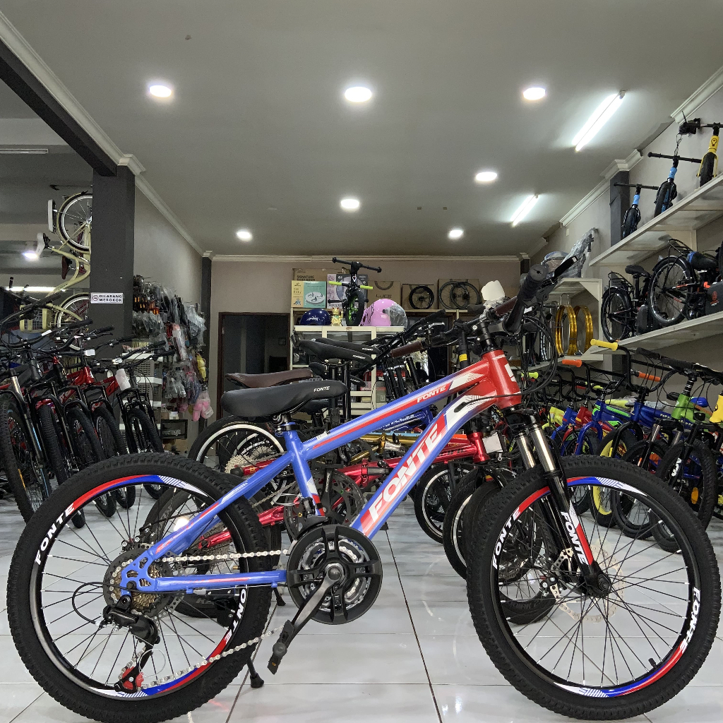 20 Mtb Tango 7sp rider