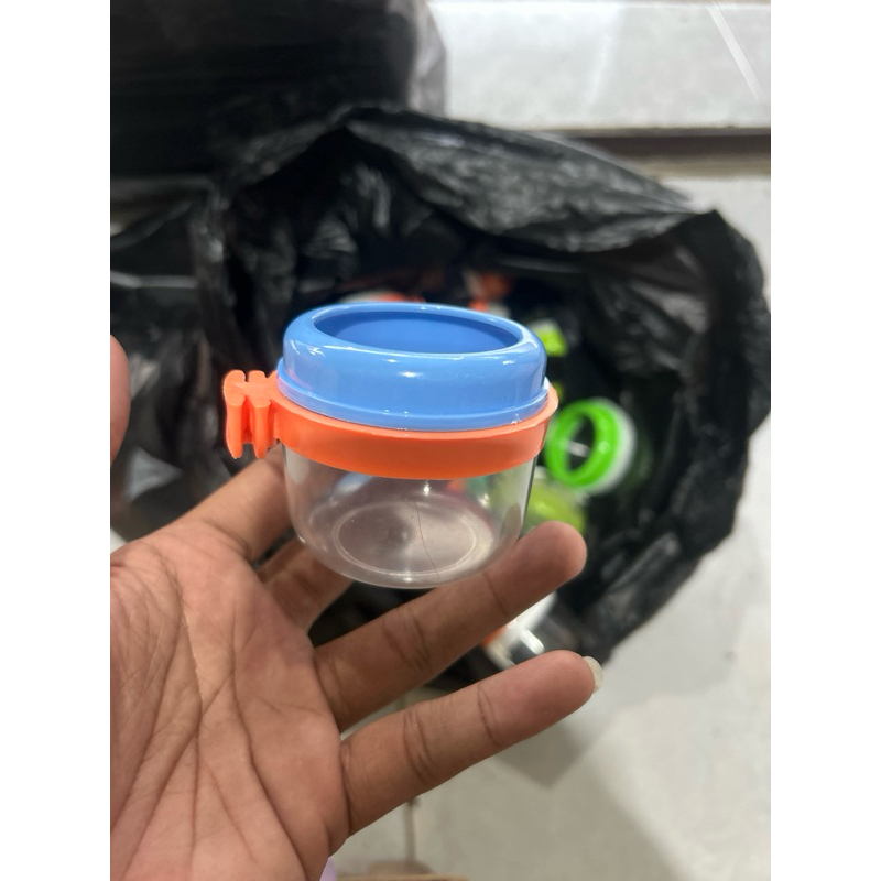 cepuk tempat makan minum burung cepuk burung cepuk makan cepuk minum burung