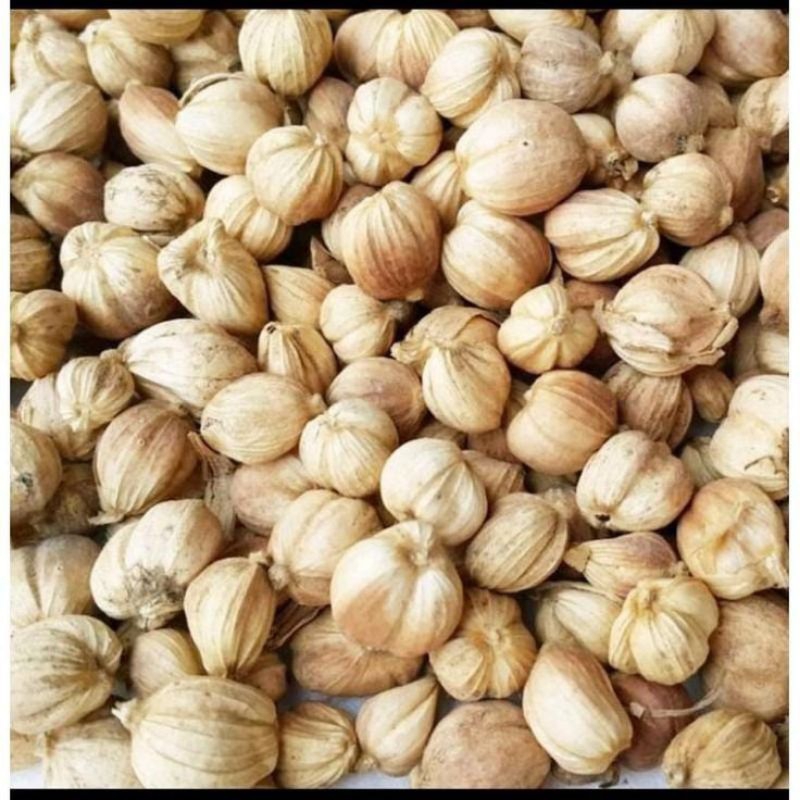 

Kapulaga kering tanpa pemutih bersih100gr 50gr