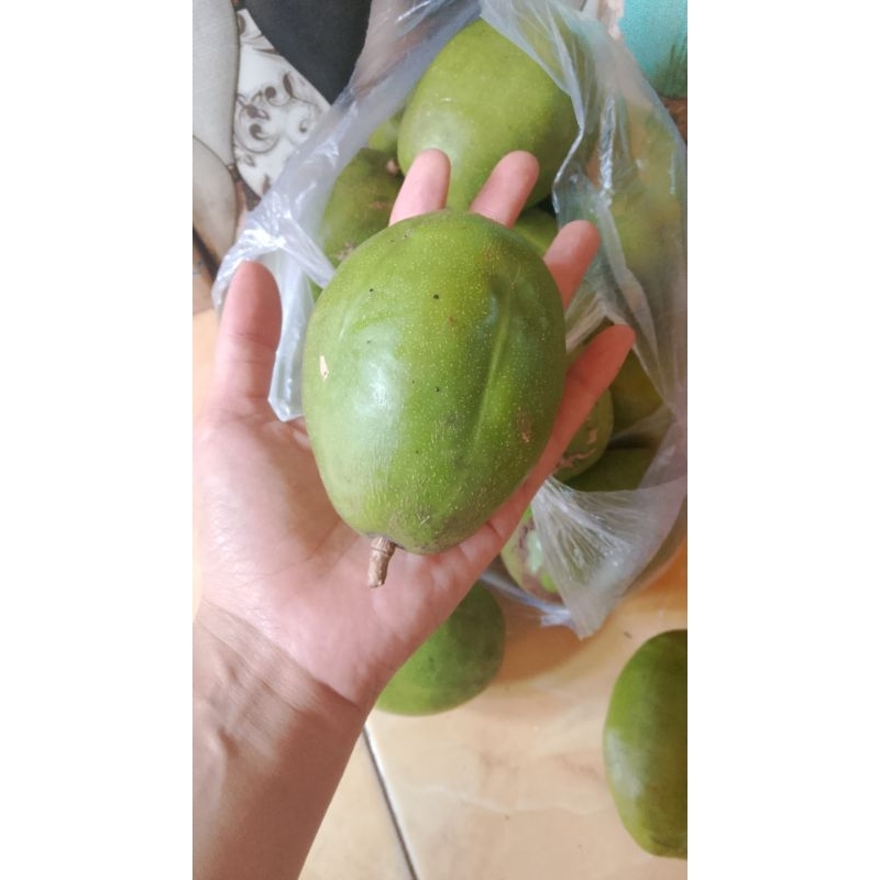 

buah gedondong