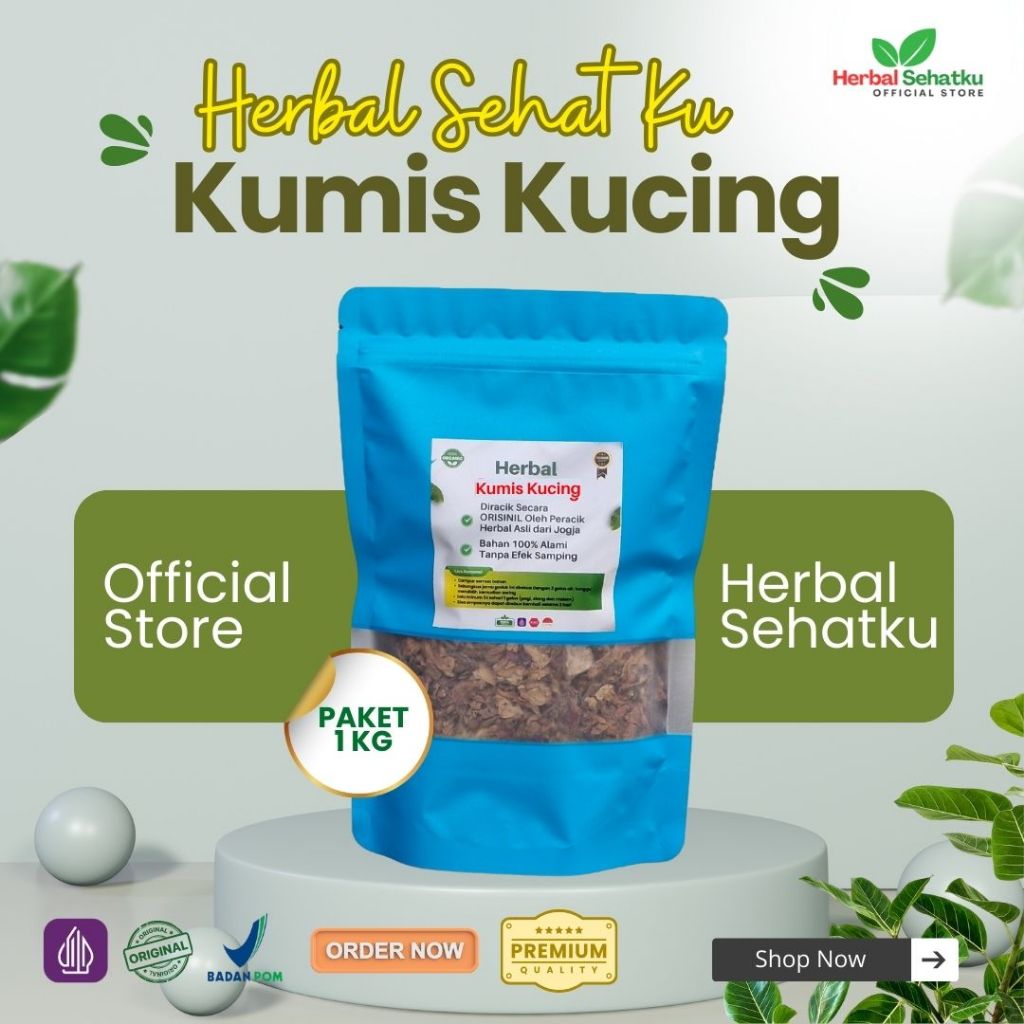 

[HERBAL SEHATKU] 1 KG Daun Kumis Kucing Herbal Murni Orthosiphon Aristatus 100% Premium Berkualitas Sruput Halal