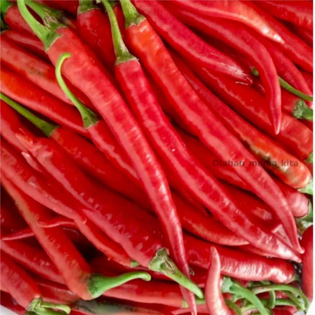 

SAYUR CABE MERAH BESAR SEGAR 1Kg 500gr 250gr 100gr sayuran fresh bumbu dapur