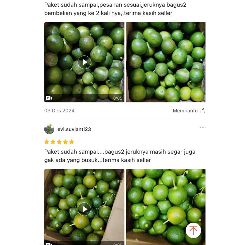 

1kg jeruk sonkit kasturi lemon cui