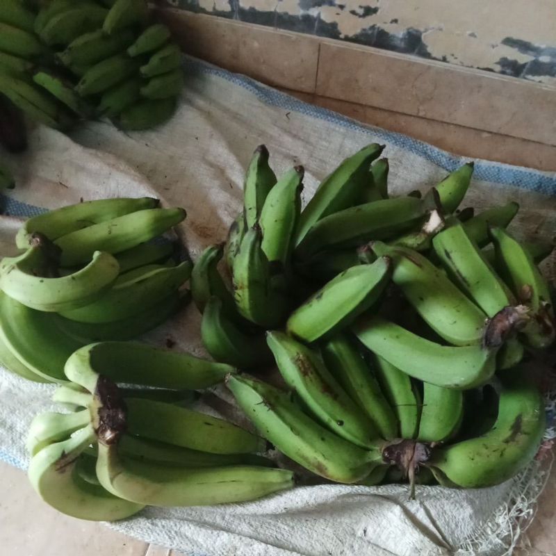 

pisang nangka mentah 1kg untuk keripik