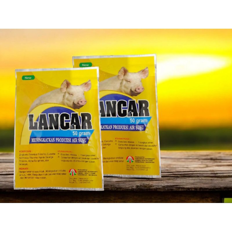LANCAR BABI suplemen pelancar dan penambah air susu babi