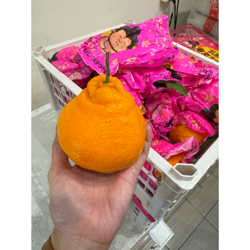 

Hampers jeruk decopon 4 kg