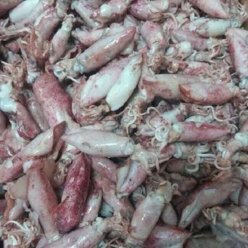 

cumi asin rebus size sedang 500 gram