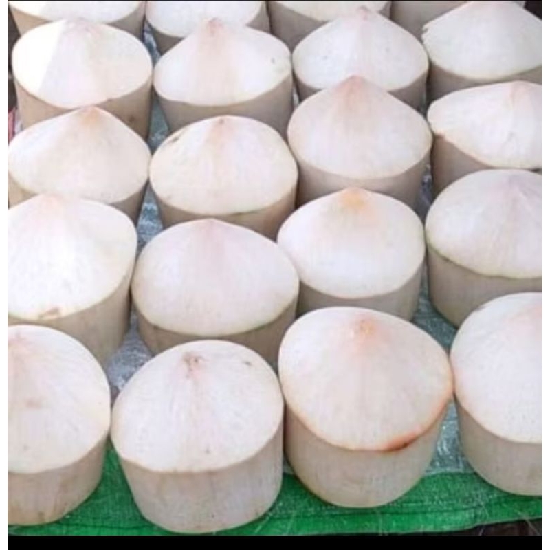 

Kelapa Pandan Wangi Diamond