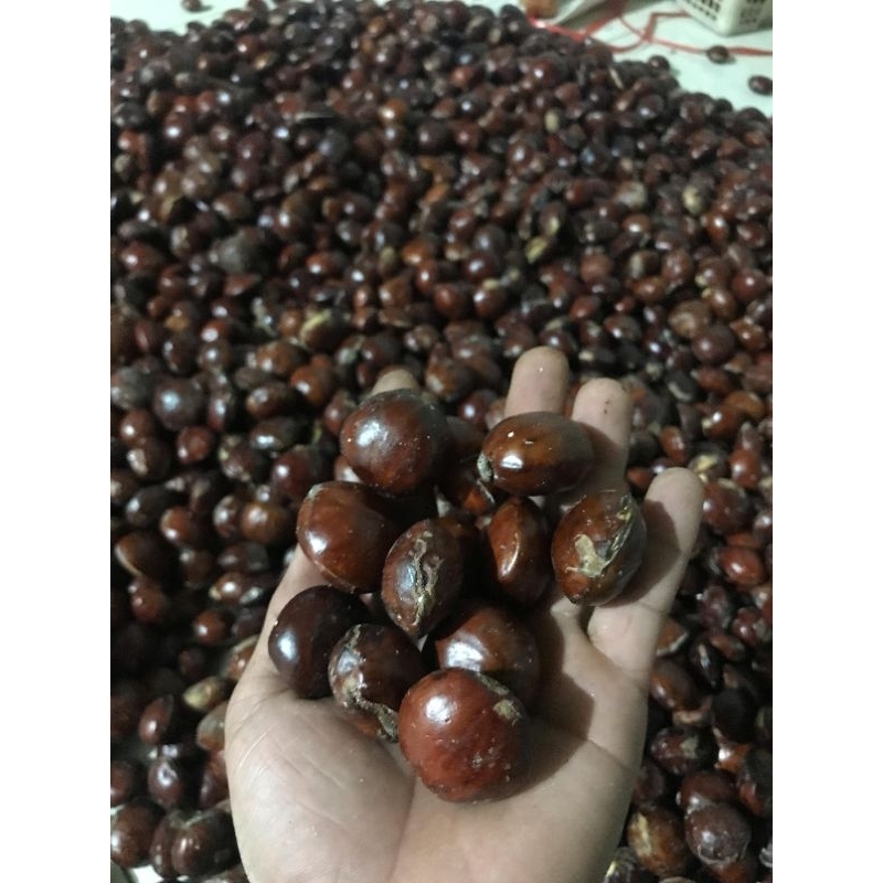 

OBRAL JENGKOL JENGKI JRENG MURAH FULL SORTIR 1KG