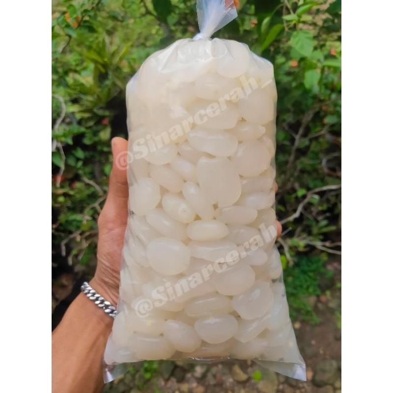 

Kolang Kaling super berkualitas berat 1 kg