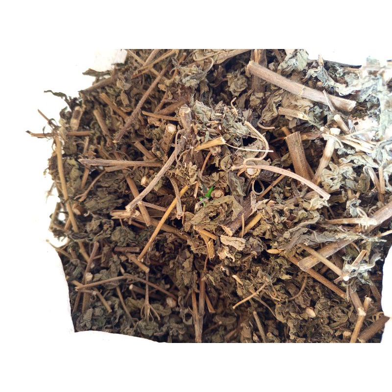 

Terbaik Daun Kirinyuh kering untuk mengobati anti kanker per plastik l