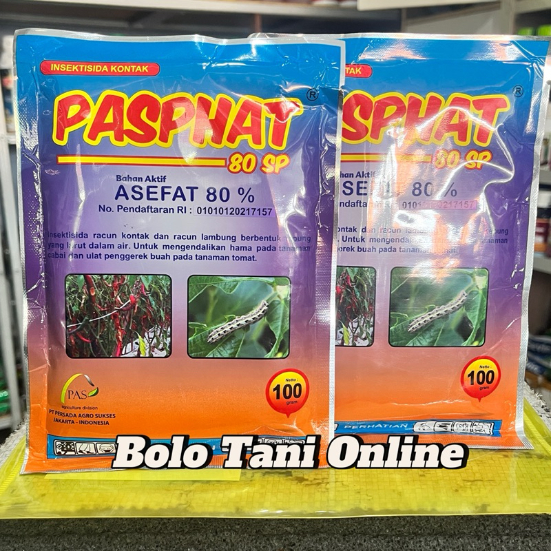 Pasphat 100gram insektisida asefat 80SP diatasnya joker