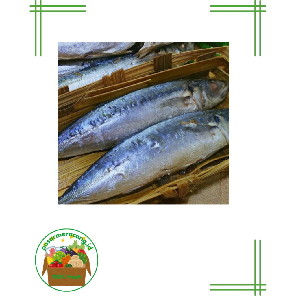 

Pindang Tongkol (isi 2)