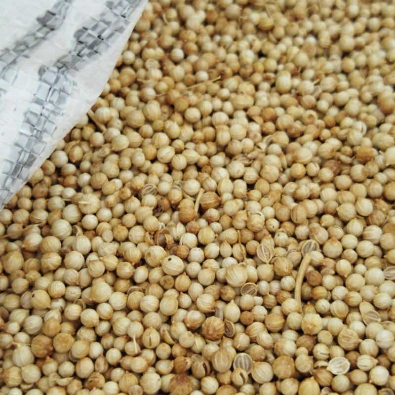 

TERMURAH ketumbar 1kg putih bersih