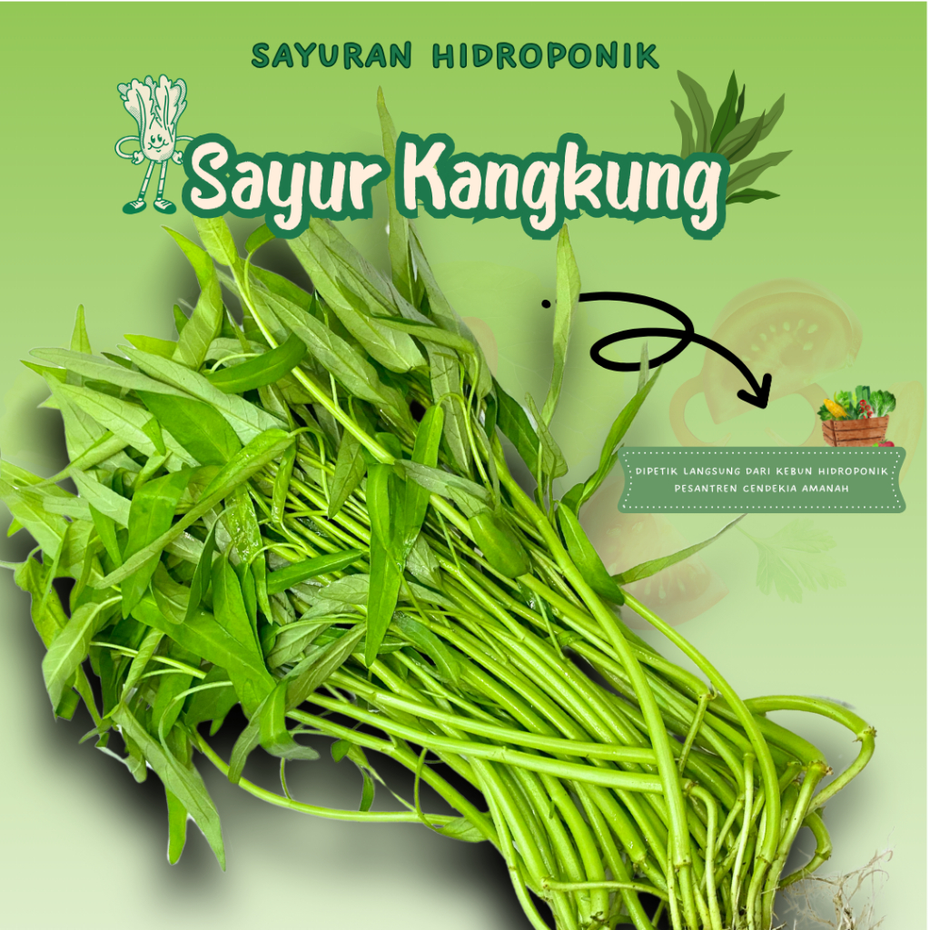 

Sayur Kangkung/Sayuran Hidroponik Fresh/200gr/PCA/Pengiriman Instant/Dipetik Langsung