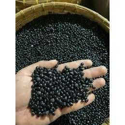 

KACANG KEDELAI HITAM| KEDELAI MALIKA | BLACK SOY BEAN | DIJAMIN TERMURAH