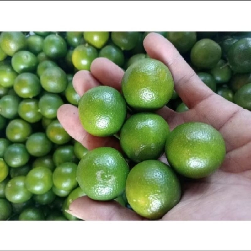 

dejruk songkit kasturi 1kg