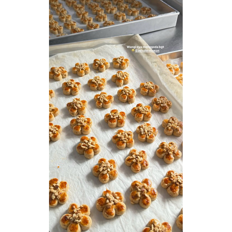 

Peanut Galore Cookies Medium