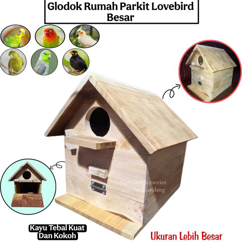 Glodok Rumah Parkit Lovebird Besar Kandang Parkit Lovebird Bentuk Rumah