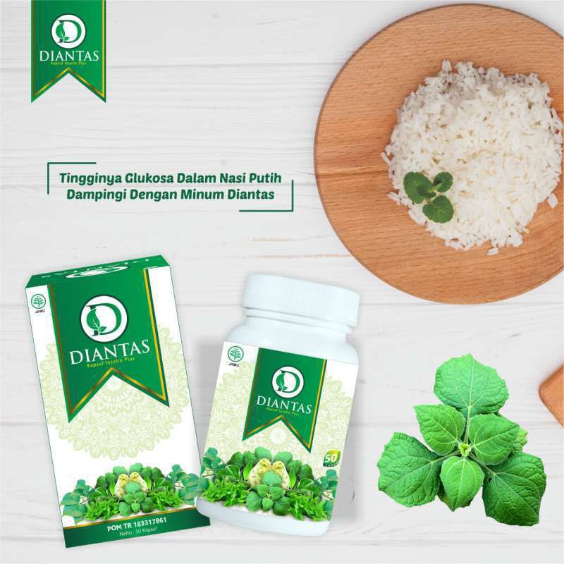 DIANTAS ( Diabetes Tuntas ) Obat Herbal Penurun Gula Darah