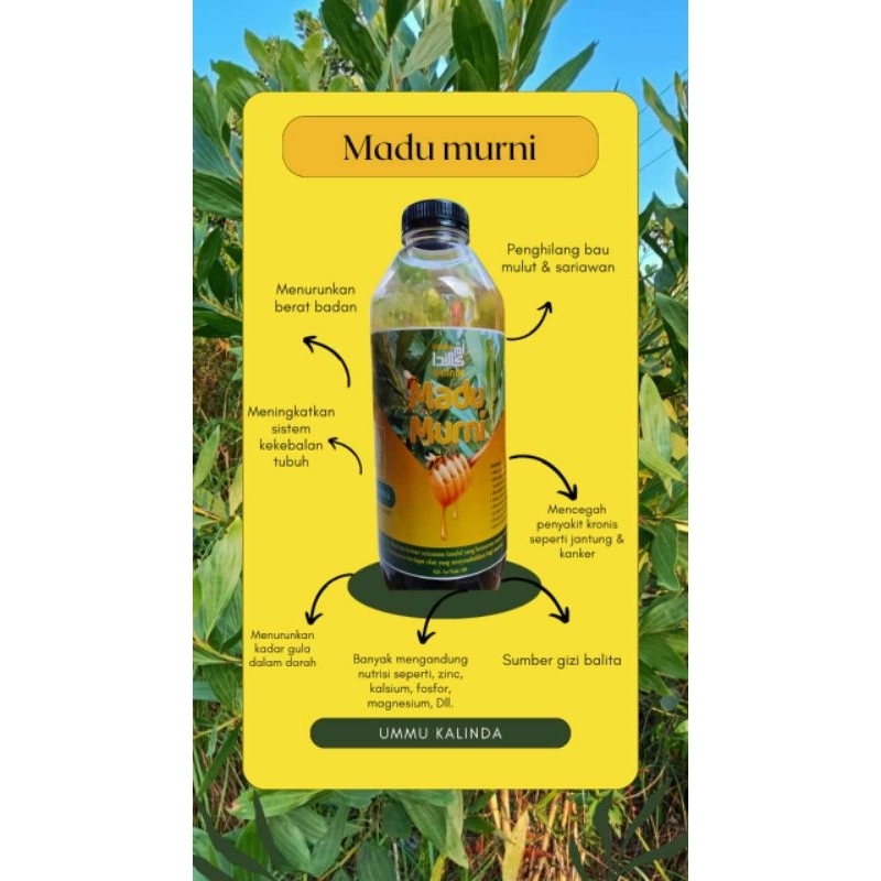

MADU MURNI 100% ASLI DARI TERNAK MADU BERKUALITAS DAN HIGENIS. MURAH, SEHAT DAN BERGIZI.