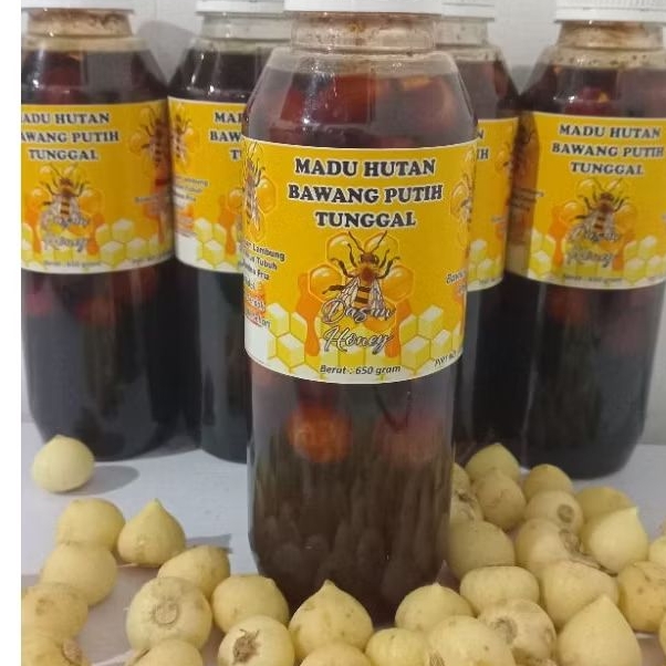 

madu bawang tunggal 650 gram free kardus packing baru