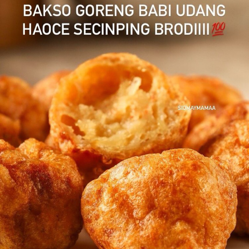 

BAKSO GORENG BABI UDANG (MATANG)