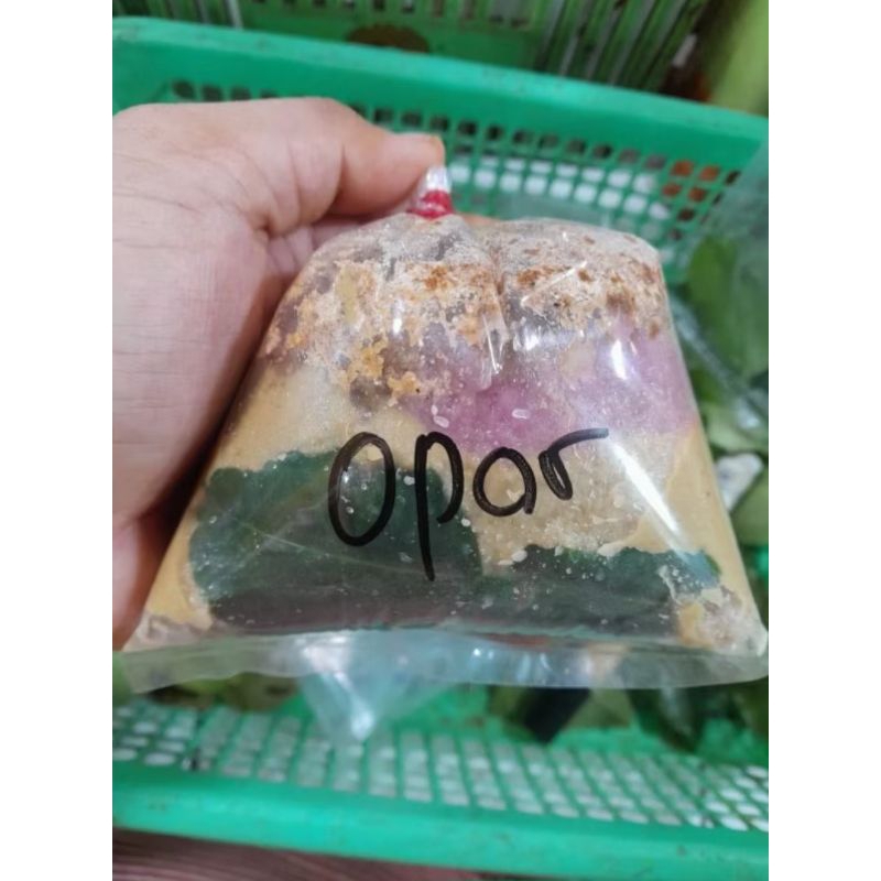 

bumbu opor basah 1bungkus