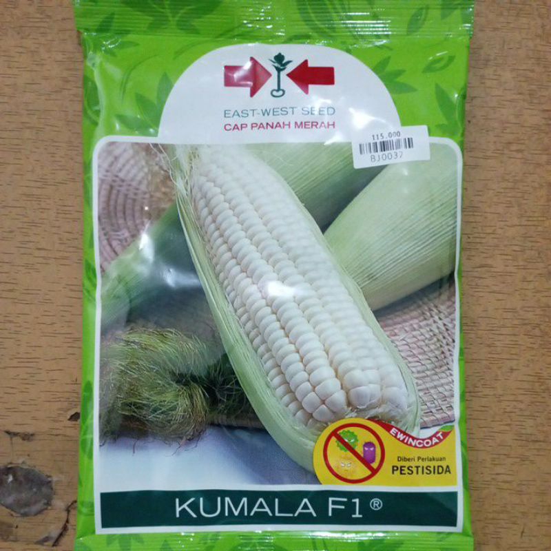 Benih Jagung Pulut Kumala F1 @250gr