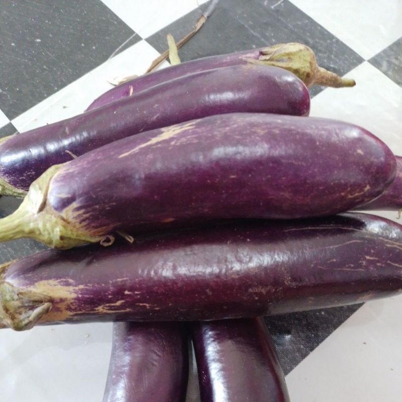 

Terong Ungu Pilihan Fresh 1Kg